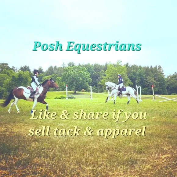 Posh Equestrian Network - Picture 2 of 2